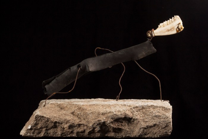 pablo concha animal38