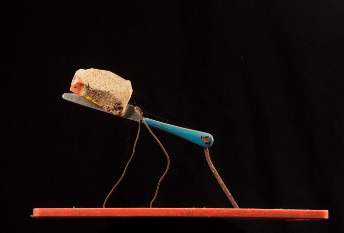 pablo concha animal41