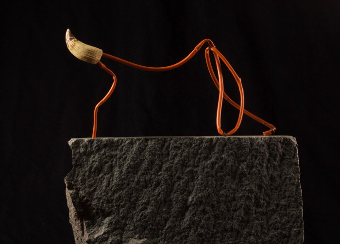 pablo concha animal43