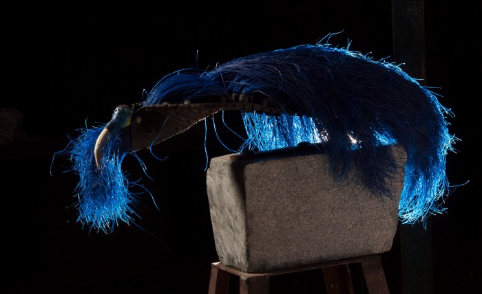 pablo concha animal55