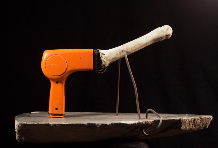 pablo concha animal59