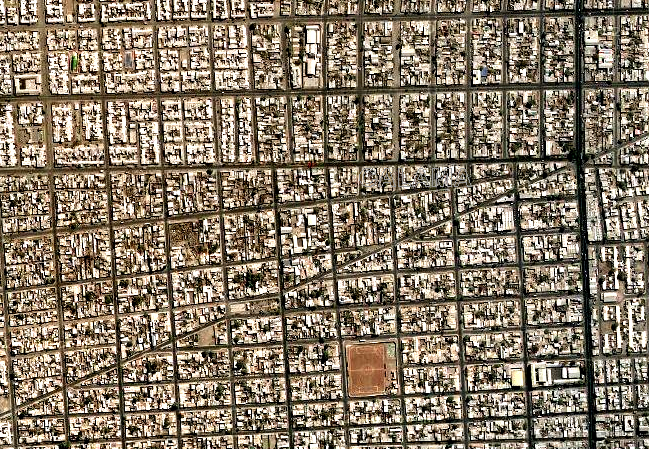 calamaaa pablo concha