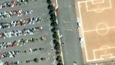 chihuahua pablo concha